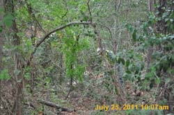 Entergy 142